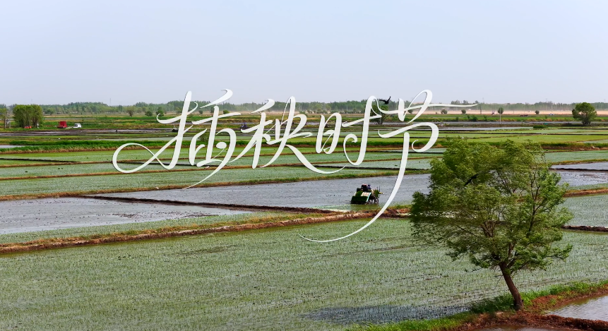 飞“阅”中国｜插秧时节