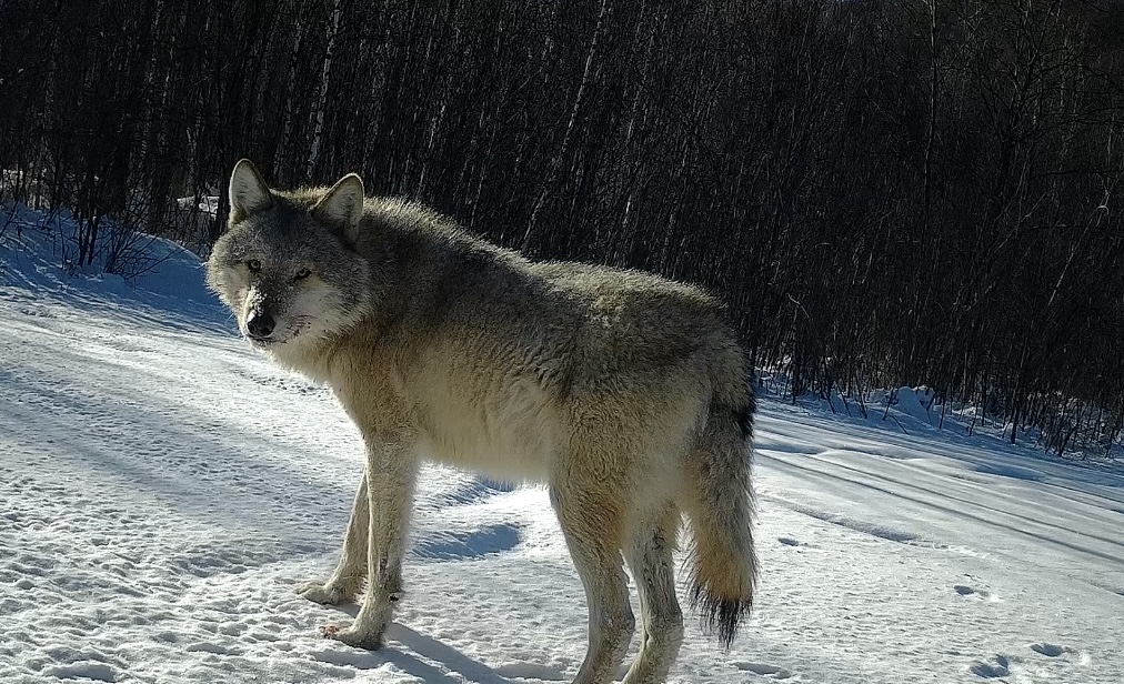 1703065104898311.jpg 3535253e9a99ae2b2f556a4780811bd.jpg