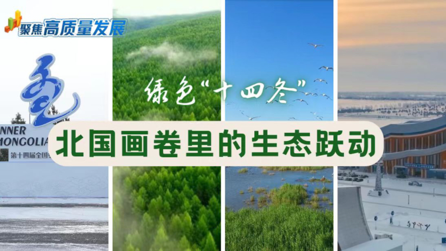 聚焦高质量发展丨绿色“十四冬”：北国画卷里的生态跃动
