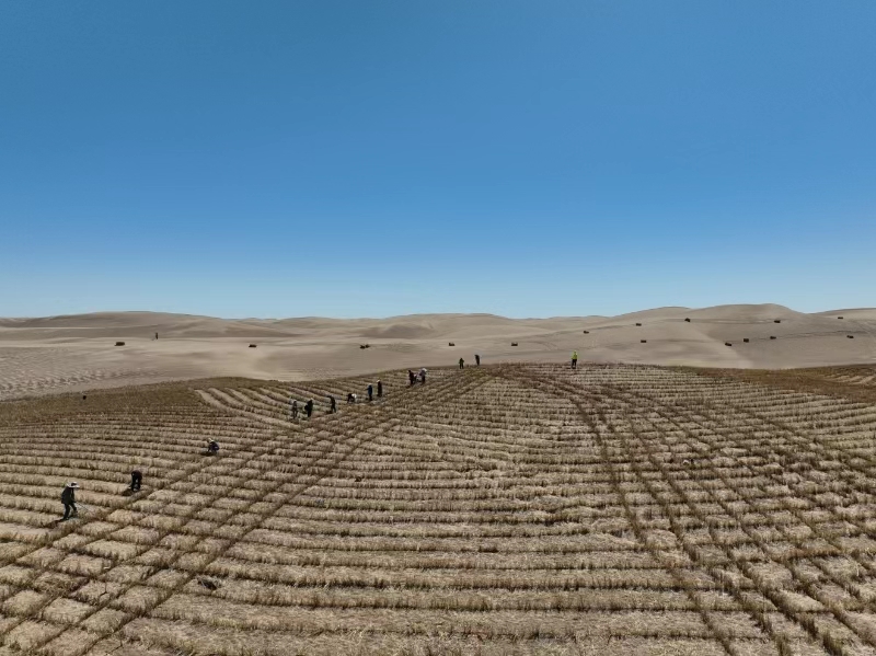 阿拉善盟內蒙古西部荒漠綜合治理項目（二期）總體建設進度過半