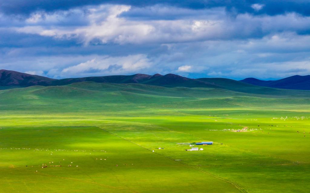 “我和草原有个约定” 不负夏日最美风景