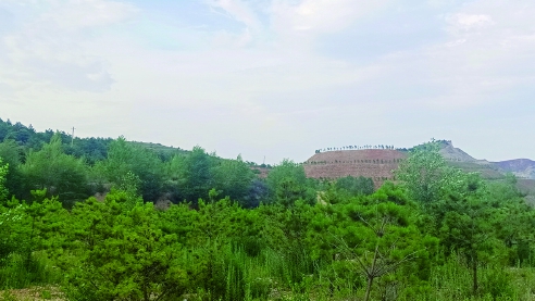 1723529679930886.jpg 1130313263-0.jpg