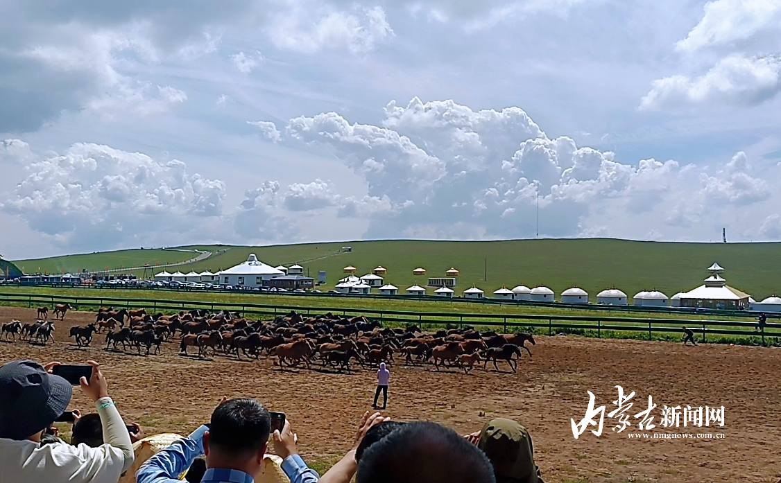 MEITU_20240817_185410189.jpg MEITU_20240817_185410189.jpg