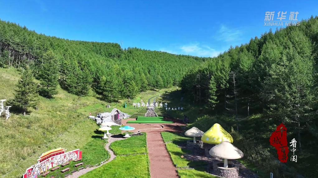 来阿尔山享受“森林浴”