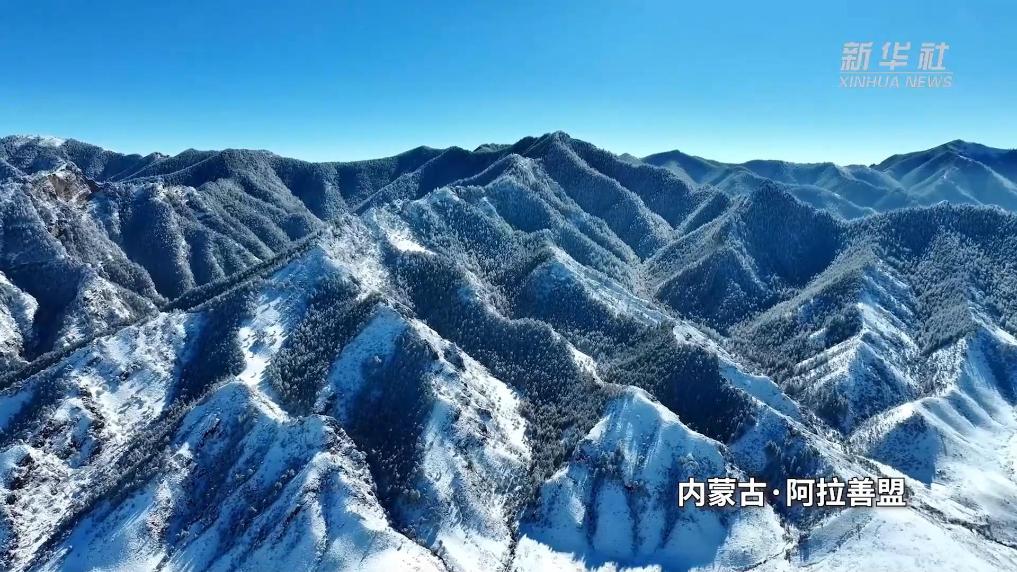 来内蒙古赏一场贺兰晴雪