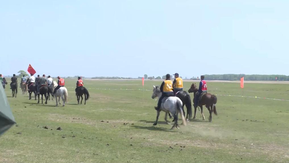 赛马盛会激情上演