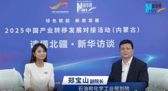 郑宝山：内蒙古要抢抓“十五五”化工新材料发展机遇