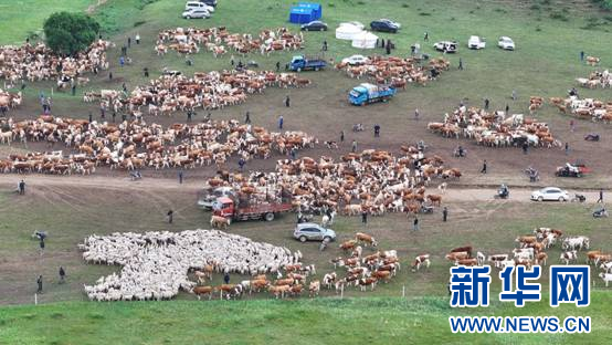 DJI_20250613092524_0493_D