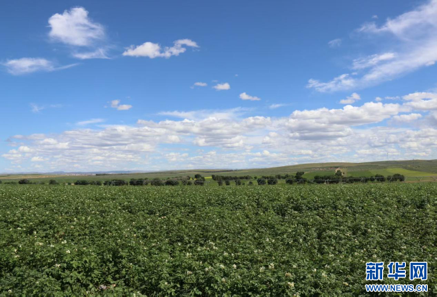 四子王旗：农田配备“水管家” 科学节水有效益