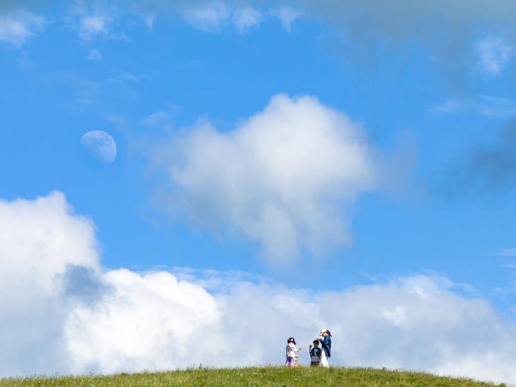 高山草原美如画