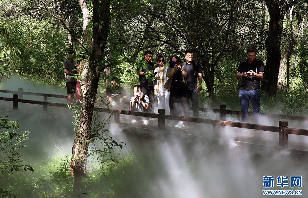 站在岭上看振兴丨近20家媒体调研兴安盟高质量发展