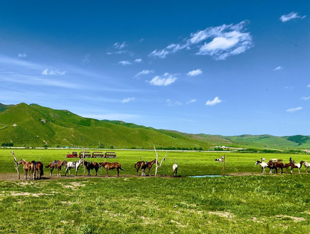 百万粉丝达人亲测！这座城市夏天竟不用开空调