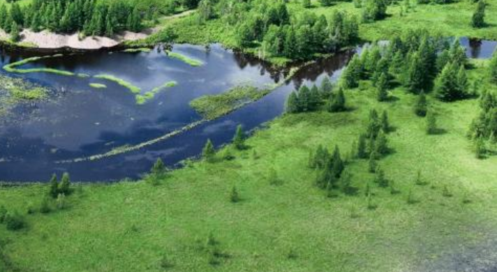 读懂北疆丨2025年7月9日 满目苍翠 景色如画 内蒙古阿尔山市