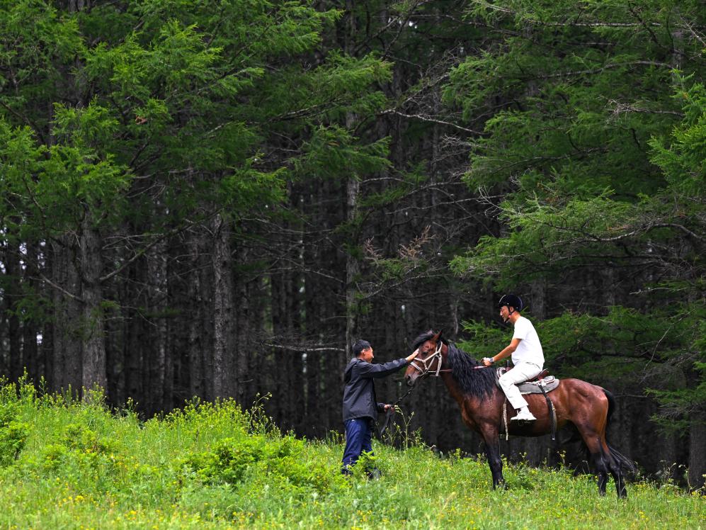 巧抓“凉”机，内蒙古兴安盟让“清凉”持续发热
