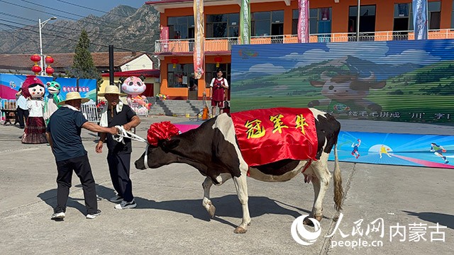 比赛奖品。人民网记者 齐浩男摄