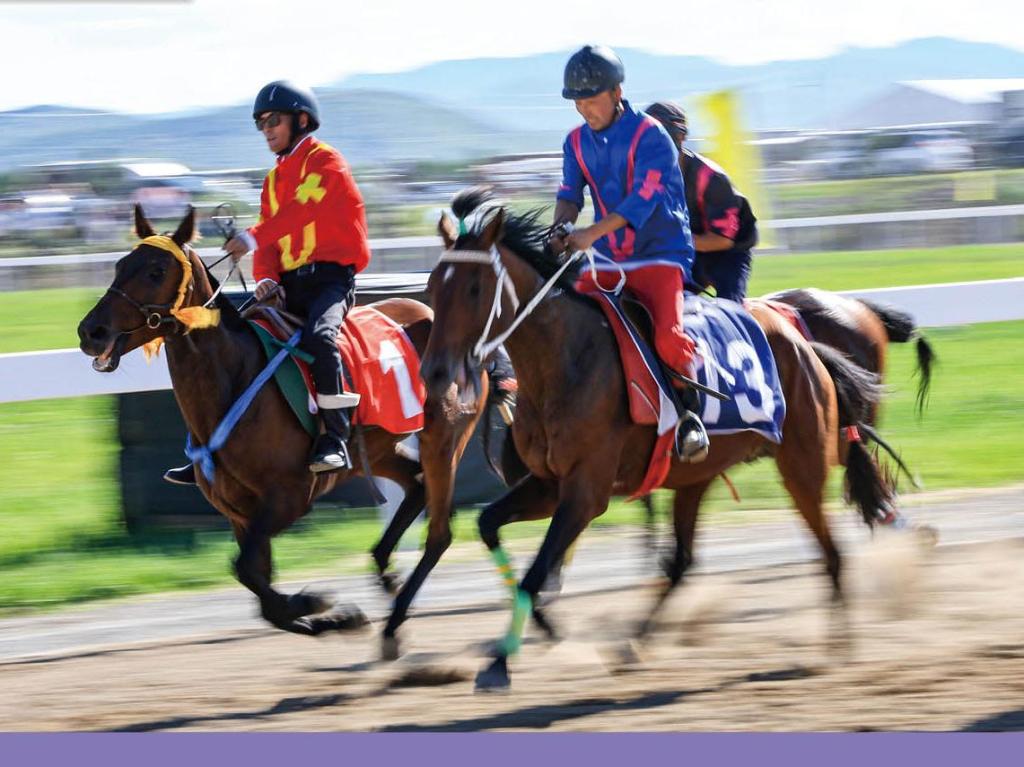 跃动草原的“非遗”之一——赛马