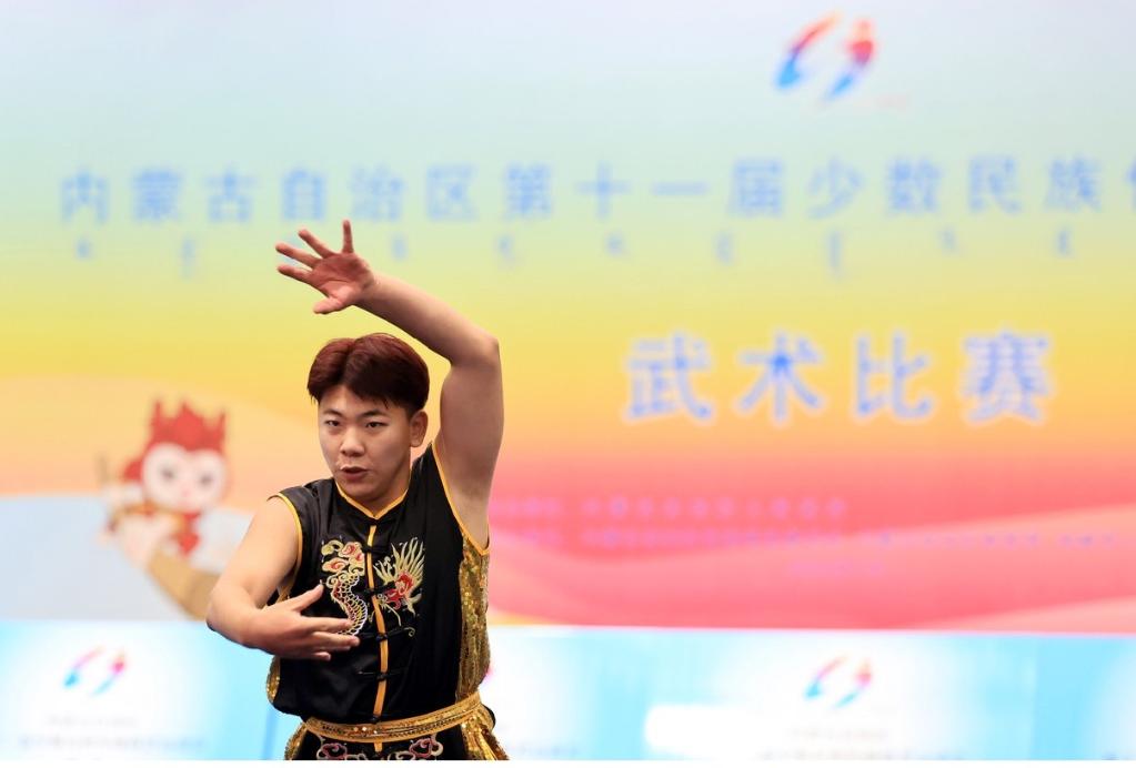 聚焦盛会｜男子传统拳术决赛举行