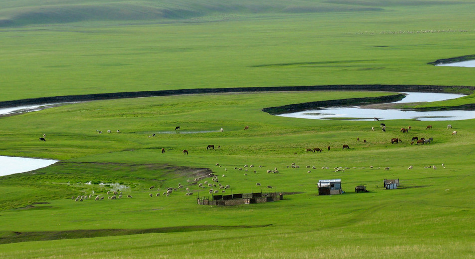 孙若风：“歌游内蒙古”引领游客领略壮美草原