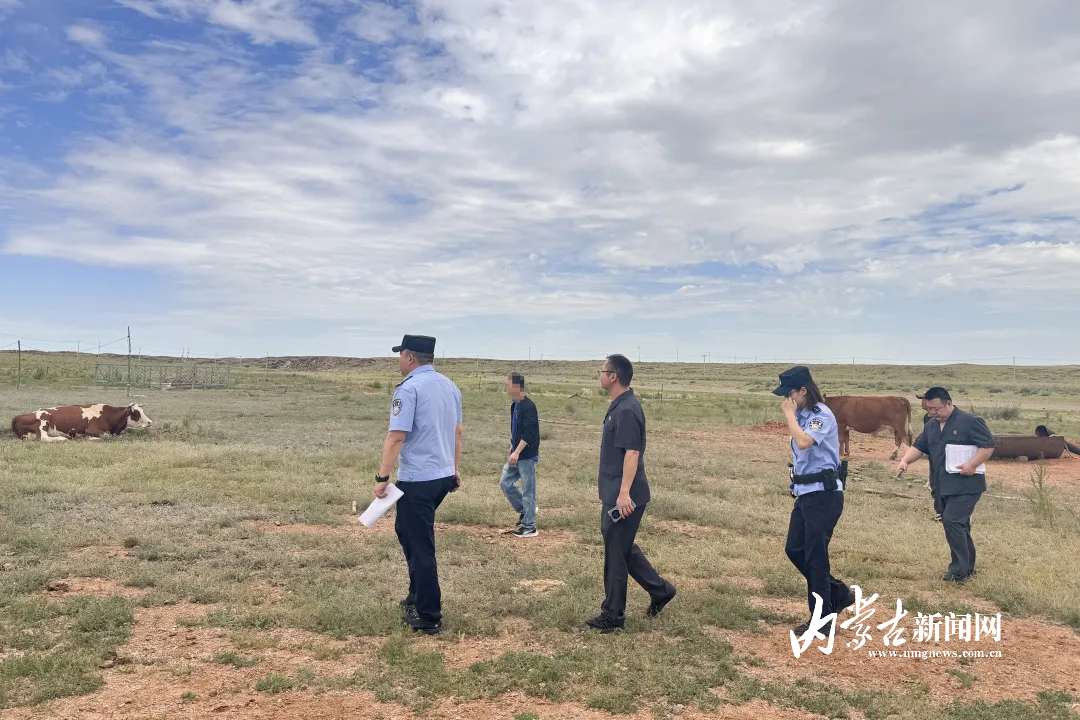 mmexport1754045718165.jpg mmexport1754045718165.jpg