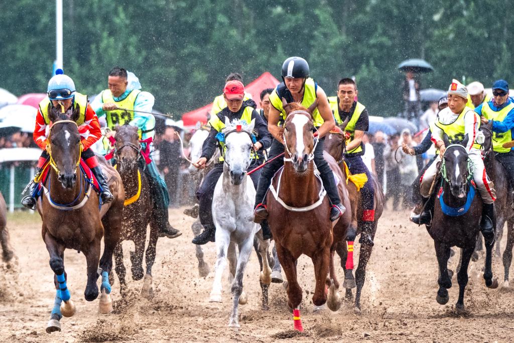 内蒙古兴安盟：欢聚草原那达慕