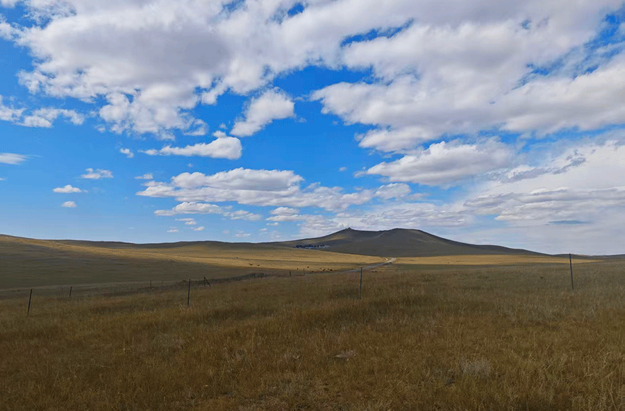 金色锡林郭勒草原