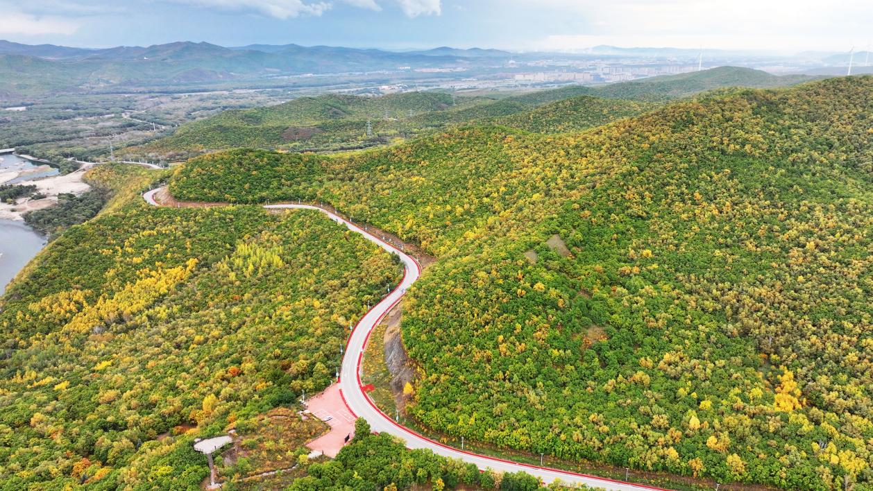 內蒙古扎蘭屯：鄉村公路美如畫