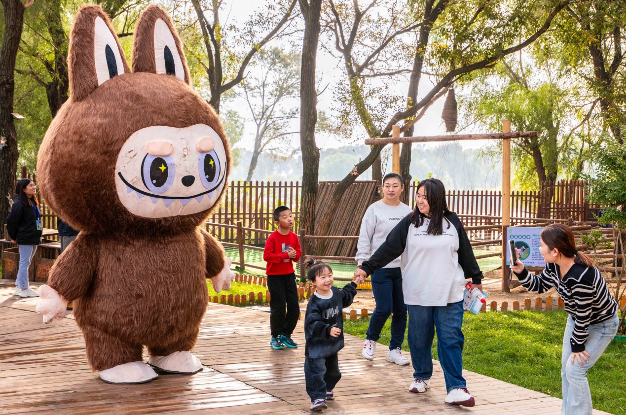 呼和浩特：萌宠乐园欢乐多