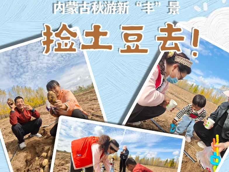 內蒙古秋游新“豐”景：撿土豆去！