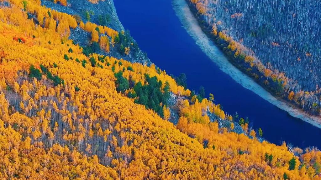 秋色入画 大美中国