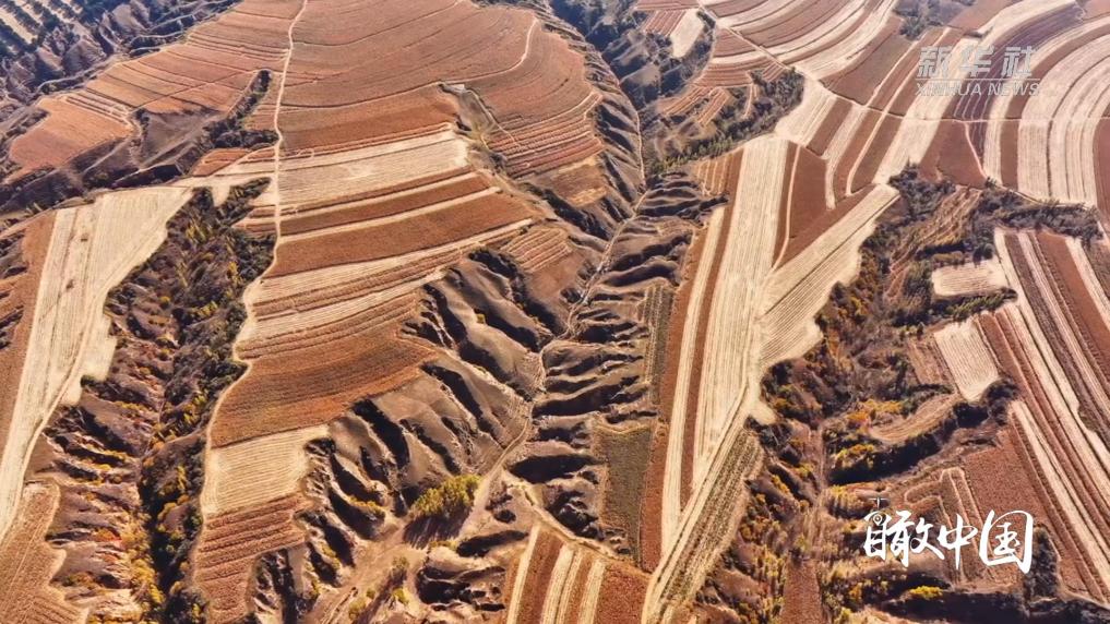 瞰中国｜库伦大地秋日之诗