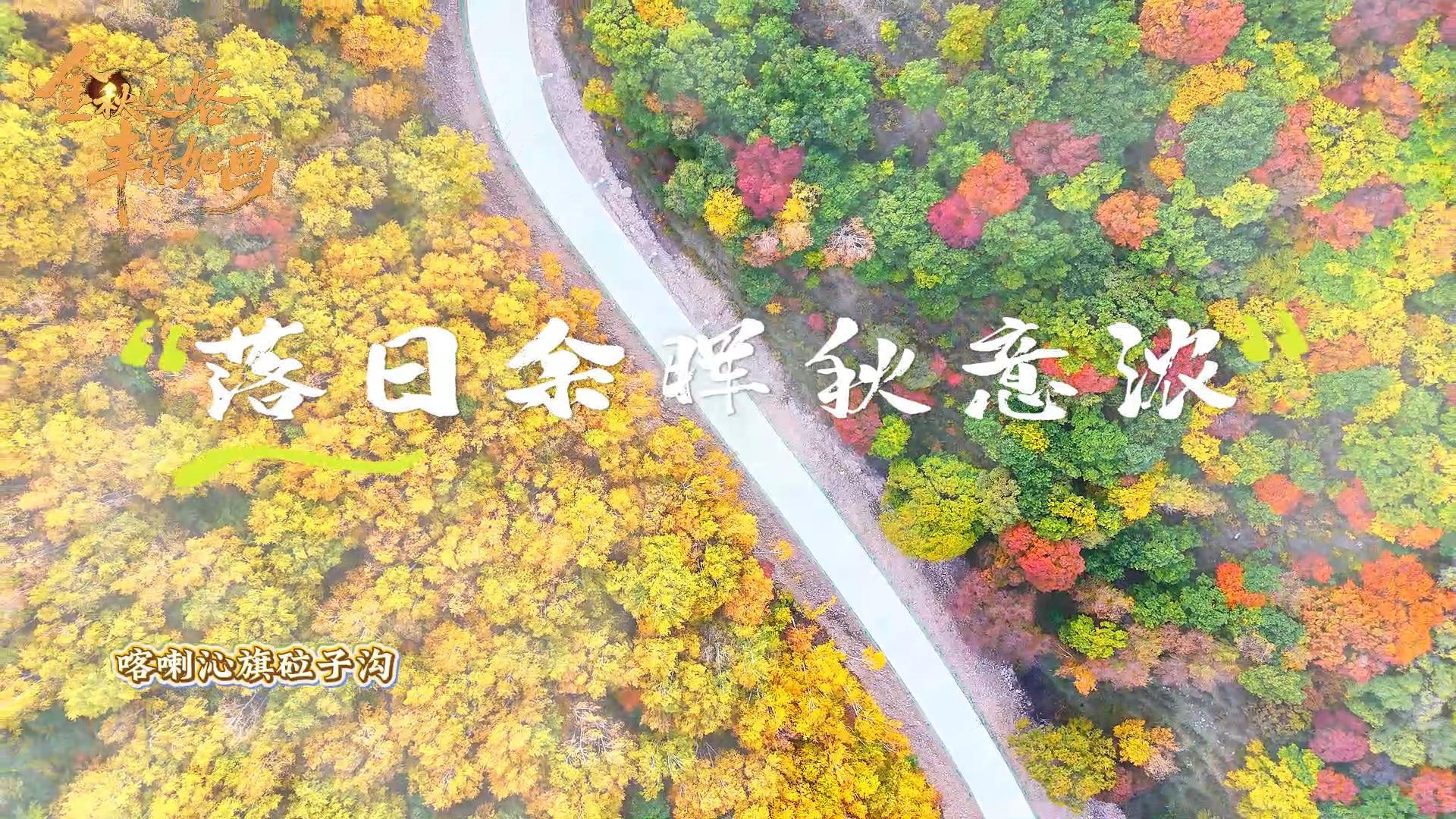 内蒙古巴林左旗：“花乡”垃圾变成宝