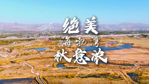 绝美，乌海海勃湾秋意浓！