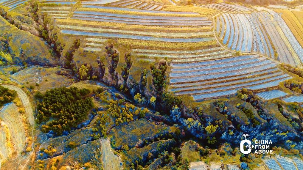 瞰中国｜内蒙古：沃野暮秋