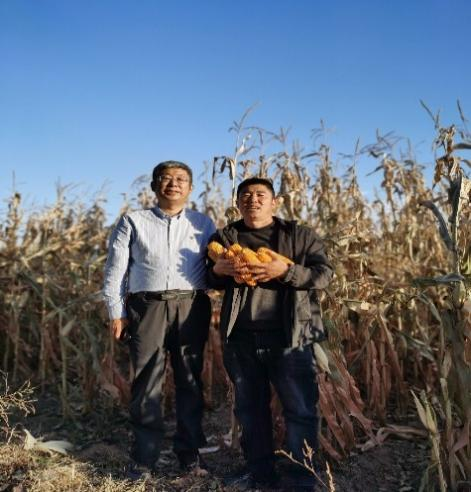 解码奈曼旗玉米单产提升背后的基金力量