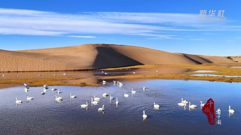 内蒙古：沙海碧湖栖候鸟