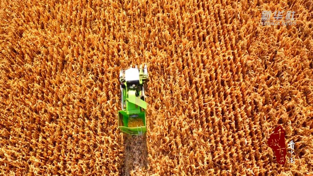 內蒙古開魯大地“豐”景如畫