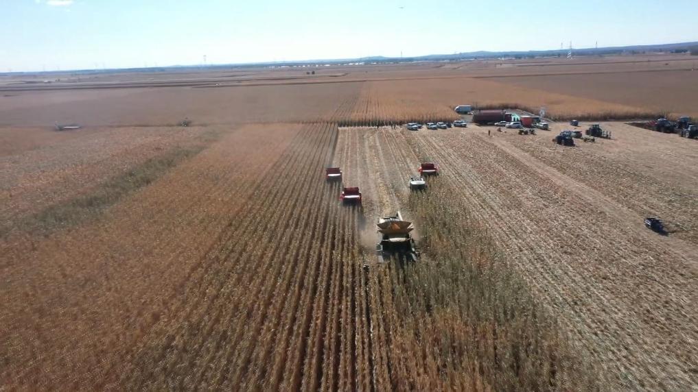 突泉縣：科技儲糧助農增收