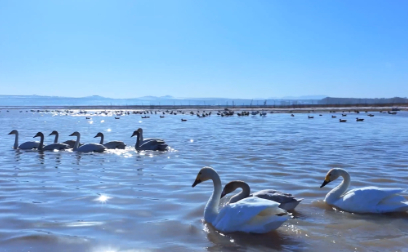 飛“閱”中國丨冬雪·天鵝湖