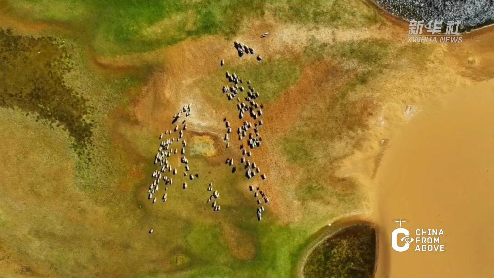 內蒙古：四季烏審