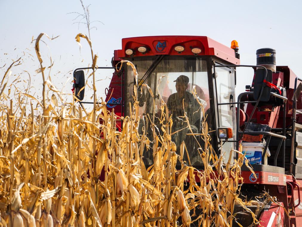 奈曼旗“光伏收益+”精准施策 照亮万户振兴路