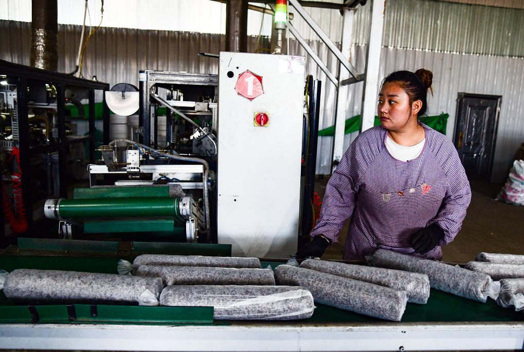 赤峰市林西县：小菌棒成为助农增收大利器