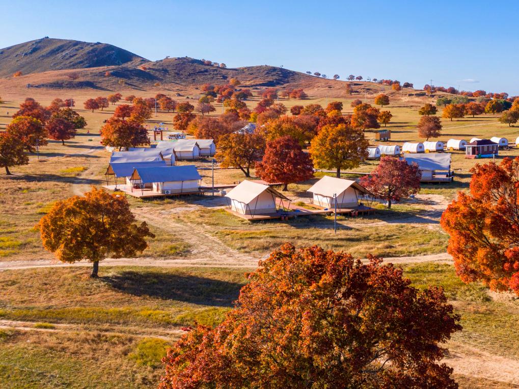映在五角楓林裏的京蒙協作情