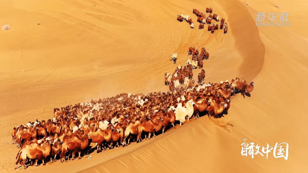 瞰中國｜內蒙古：沙脊徙影