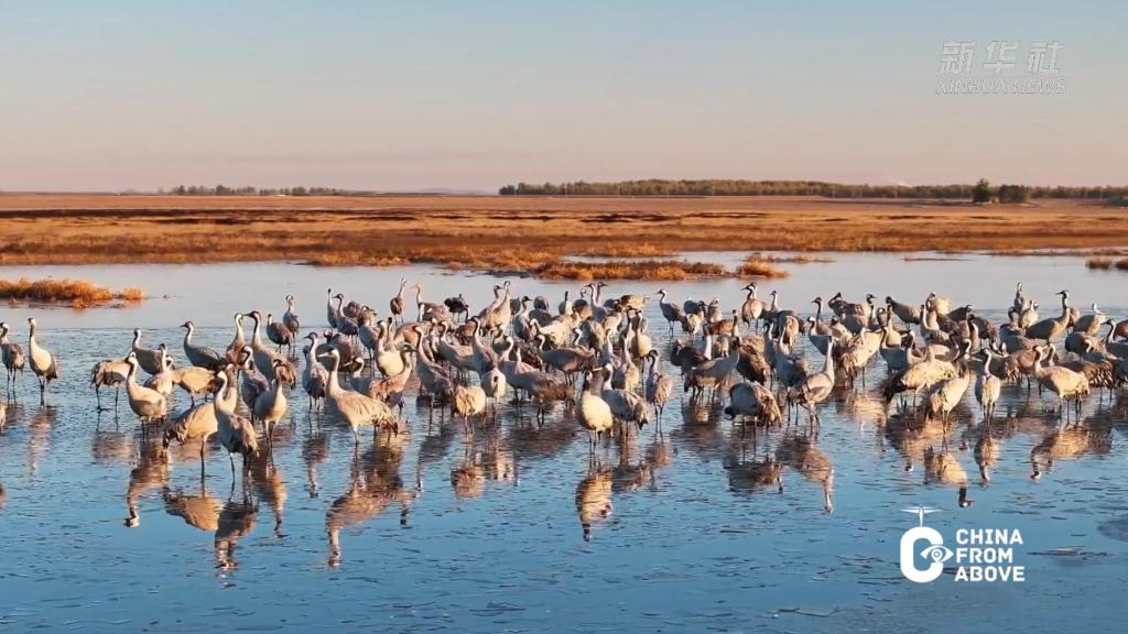 瞰中國｜內蒙古：鶴鳴輕野
