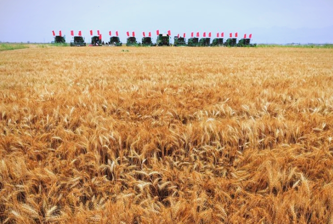 巴彦淖尔现代化农业高地是如何“炼”成的？