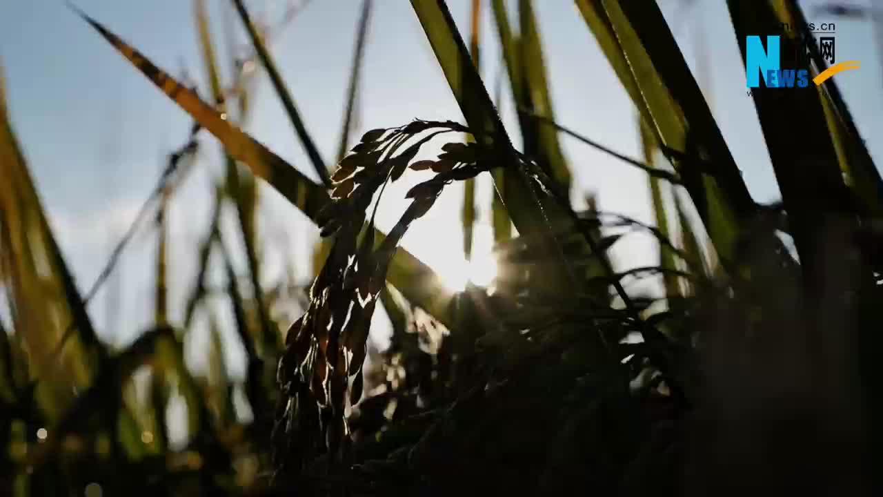 巴林右旗：让自然馈赠开口说话