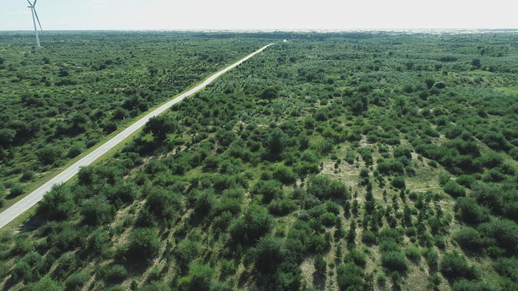 奈曼旗何以赴2025企业家博鳌论坛？