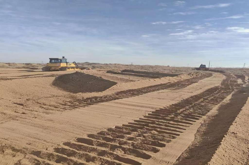 内蒙古磴口县：盐碱地变身惠民“幸福田”