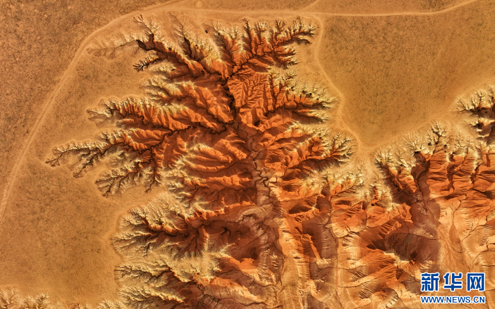 圣牧草业加入联合国全球契约组织