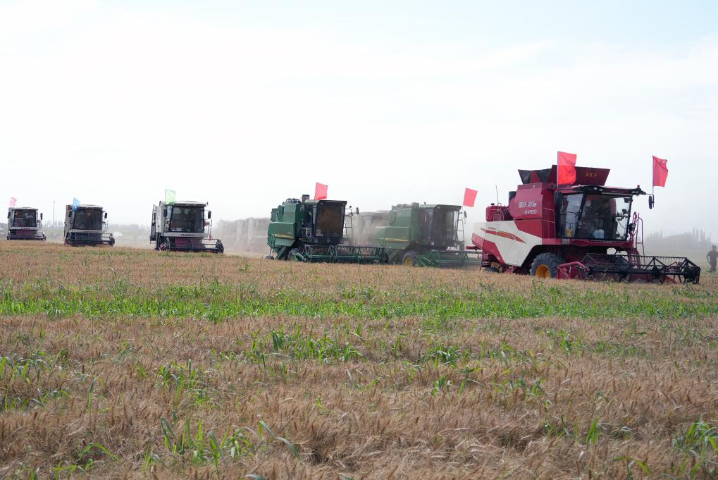 内蒙古粮食生产实现“二十二连丰”